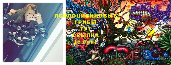 соль курить ск Алексеевка