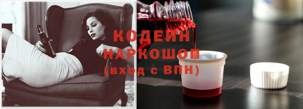 кокс Вяземский