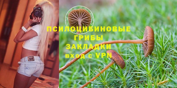 не бодяженный Алзамай