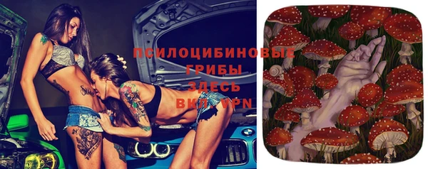 не бодяженный Алзамай