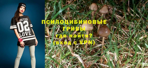 соль курить ск Алексеевка