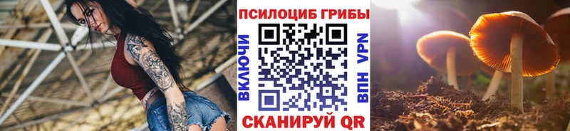 Галлюциногенные грибы ЛСД  Долинск 